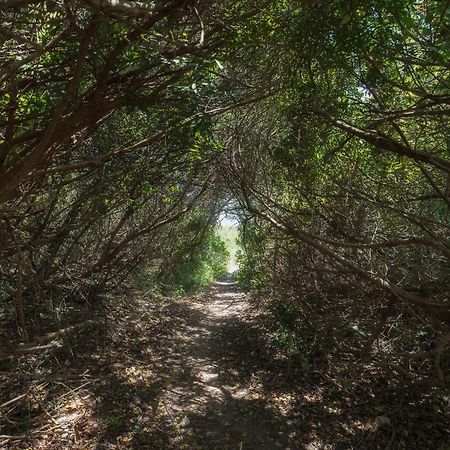 カロヴィーニョ Casa Angela Rosaヴィラ エクステリア 写真